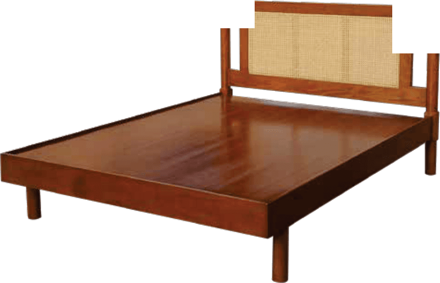 Cane Cripto Cot