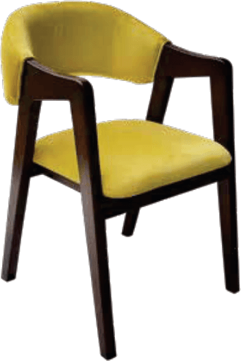 Ikkitta Chair